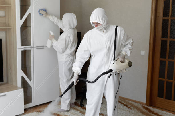 Certified Mold Removal in Southfield, MI