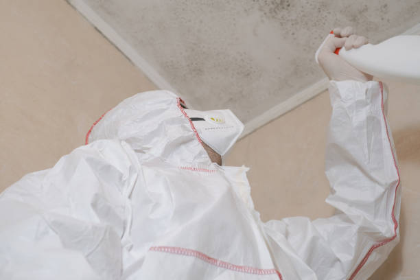 Attic Mold Removal in Southfield, MI
